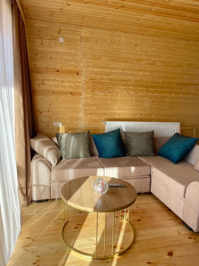 Twin Cottages Kazbegi Stepantsminda Exterior foto